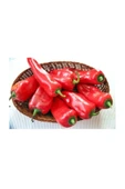 Muka Botanik Kapya Biber (kapia Pepper) 50 Adet Tohum thumbnail 1