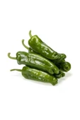 Muka Botanik Yeşil Köy Biberi Tohumu / 20 Adet thumbnail 1