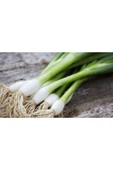 Muka Botanik Acısız Taze Firik Yeşil Soğan Tohumu Ekim Seti thumbnail 2