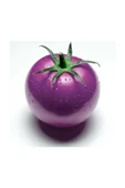 Muka Botanik Nadir Ithal Mor Domates Tohumu 10 Adet Tohum thumbnail 1