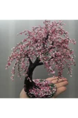 Muka Botanik Bodur Cherry Blossom Bonzai Ağacı Tohumu 5 Adet Bonsai Ağacı Tohumu thumbnail 3