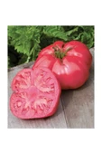 Muka Botanik Nadir Iri Pembe Domates Tohumu 20 Adet Tohum Bulgar Domatesi thumbnail 2