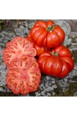 Muka Botanik Nadir Dev Italyan Pileli Domates Tohumu Ekim Seti thumbnail 5