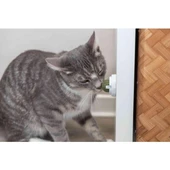Trixie Kedi Nanesi Top Oyuncak 5 cm thumbnail 2