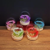 Led Işıklı Lale Cam Fanus thumbnail 2