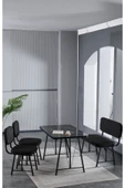 Elfin 70x110 Siyah Yemek Masası, Yemek Masası Takımı, 2 Sandalye 1 Bench - Siyah - 1