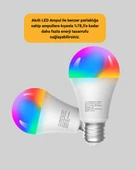 RGBW Teknolojili Akıllı LED Ampul, Zamanlayıcılı - 3
