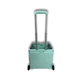 2 Tekerlekli, Yeşil, 32L Standart Boy, Sabit Tutacaklı Alışveriş Arabası - 3