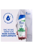 Head & Shoulders Mentol Ferahlığı 2'si 1 Arada Şampuan 300 ml thumbnail 8