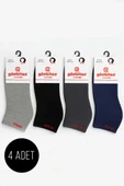 Kadın 4lü Termal Patik Çorap Asorti 1 thumbnail 1