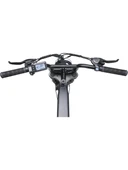 APE RYDER COLOBUS PREMIUM 750W ELEKTRİKLİ BİSİKLET GRİ - 2