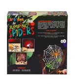Jumping Spider Eğlenceli Aile Kutu Oyunu thumbnail 2