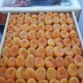 Toptan Lüks Ortaboy Sarı Kayısı 3 No 10 Kg - 2