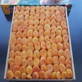 Toptan Sarı Kuru Kayısı 5-6 No Özel Ürün 10 Kg - 3