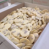 Toptan Cimiks Roş Çikolata Karışık 13,5 Kg - 3