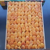 Toptan Sarı Kuru Kayısı 5-6 No Özel Ürün 10 Kg - 2