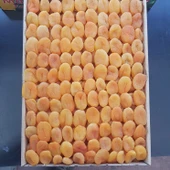 Toptan Sarı Kuru Kayısı 5-6 No Özel Ürün 10 Kg - 1