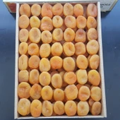 Toptan Jumbo Kayısı Düşük Kükürt Özel Dizim Kayısı 10Kg - 2