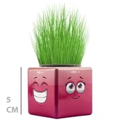 Çim Adam Mini Küp Emoji Figürlü 1 Adet - 3