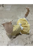 Gobo Sarı Beyaz Kareli Fiyonklu Kedi Köpek Kıyafeti Elbisesi XSmall/XS/Beden 0 thumbnail 4