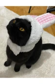 Gobo Peluş Tavşan Kulaklı Beyaz Kedi Köpek Şapkası Yumuşacık Kedi Köpek Kıyafeti thumbnail 3
