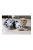 Gobo Siyah Puantiyeli Beyaz Dişi Kedi Köpek Kıyafeti Elbisesi thumbnail 2