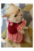 Gobo Çiçek Desenli Papyonlu Kırmızı Kedi Köpek Kıyafeti Elbisesi thumbnail 2
