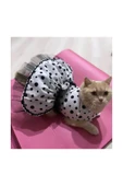 Gobo Siyah Puantiyeli Beyaz Dişi Kedi Köpek Kıyafeti Elbisesi thumbnail 5