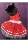 Gobo Beyaz Puantiyeli Kurdeleli Kırmızı Dişi Kedi Köpek Kıyafeti Elbisesi Large/L/Beden 3 thumbnail 1