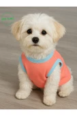Gobo Yumuşacık Şeker Pembe Kedi ve Köpek Kıyafeti Elbisesi Farklı Modeller - XS, S, M, L Beden - 6