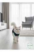 Gobo Sarı Kedi Baskılı Kışlık Siyah Kedi Köpek Kıyafeti Elbisesi SMALL/S/Beden 1 - 5