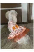 Gobo Turuncu Yaprak Desenli Papyonlu Beyaz Kedi Köpek Kıyafeti Elbisesi XLarge/XL/Beden 4 thumbnail 1