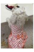 Gobo Turuncu Yaprak Desenli Papyonlu Beyaz Kedi Köpek Kıyafeti Elbisesi XLarge/XL/Beden 4 thumbnail 3