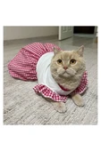 Gobo Pembe Kareli Papyonlu Dişi Kedi Köpek Kıyafeti Elbisesi Small/S/Beden 1 thumbnail 5