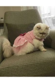 Gobo Beyaz Kareli Pembe Dişi Kedi Köpek Kıyafeti Elbisesi XSmall/XS/Beden 0 thumbnail 6