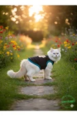 Gobo Sarı Kedi Baskılı Kışlık Siyah Kedi Köpek Kıyafeti Elbisesi SMALL/S/Beden 1 - 2