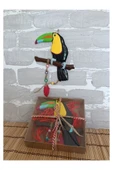 Gobo Dekoratif Tukan Kuşu Farklı Renklerde Kutulu 2 Adet thumbnail 3