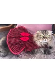 Gobo Kırmızı Siyah Kareli Kırmızı Papyonlu Dişi Kedi Köpek Kıyafeti Elbisesi Xlarge/xl/beden 4 thumbnail 5