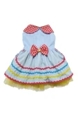 Gobo Rengarenk Festival Temalı Renkli Papyonlu Tüllü Kedi Köpek Kıyafeti Elbisesi thumbnail 7