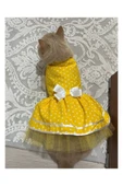 Gobo Sarı Puantiyeli Papyonlu Kedi Köpek Kıyafeti Elbisesi thumbnail 6