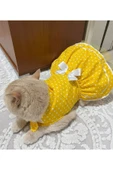 Gobo Sarı Puantiyeli Beyaz Papyonlu Kedi Köpek Kıyafeti Elbisesi Small/s/beden 1 - 4