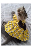 Gobo Arı Desenli Sarı Kedi Köpek Kıyafeti Elbisesi thumbnail 4