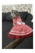 Gobo Beyaz Çiçek Desenli Kurdeleli Kırmızı Kedi Köpek Kıyafeti Elbisesi thumbnail 2