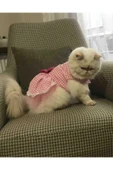 Gobo Beyaz Kareli Pembe Dişi Kedi Köpek Kıyafeti Elbisesi - 5