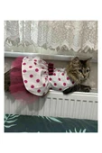 Gobo Fuşya Fiyonklu Puantiyeli Kedi Köpek Kıyafeti Elbisesi XSmall/XS/Beden 0 thumbnail 1