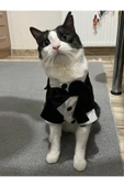Gobo Siyah Papyonlu Smokin Damatlık Kedi Ve Köpek Elbisesi Kıyafeti Takım Elbise Medium/m/beden 2 - 1
