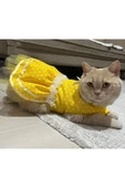 Gobo Sarı Puantiyeli Kurdeleli Kedi Köpek Kıyafeti Elbisesi XSmall/XS/Beden 0 thumbnail 1