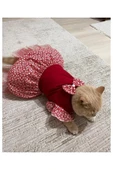 Gobo Çiçek Desenli Papyonlu Kırmızı Kedi Köpek Kıyafeti Elbisesi Xlarge/xl/beden 4 thumbnail 4