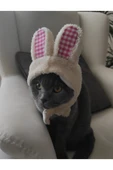 Gobo Peluş Tavşan Kulaklı Sütlü Kahve Kedi Köpek Şapkası Yumuşacık Kedi Köpek Kıyafeti - 3