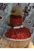 Gobo Rengarenk Çiçekli Fiyonklu Kedi ve Köpek Kıyafeti Elbisesi XSmall/XS/Beden 0 thumbnail 2